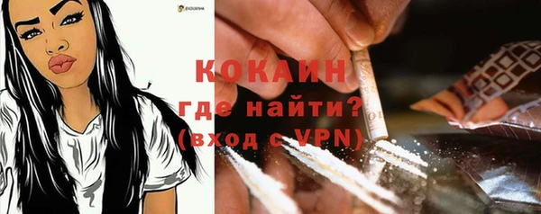 молекула духа Семилуки