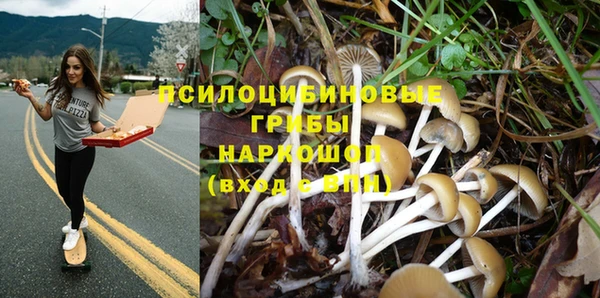 мескалин Баксан